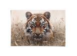 Poster REINDERS "Hunting Tiger", beige (farbe bild(er): beige), B:91,5cm H:61cm T:0,1cm, Bilder, Poster, Wohnzimmer - Beige - 150 gr. Papier - Tiere - 91,5x61 cm