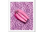 Bild QUEENCE "Jason", rosa (farbe rahmen: schwarz, farbe bild(er): rosa), B:30cm H:40cm, Acrylglas, Holz, Papier, Bilder, Bild, HD Premium Poster-Druck inkl. Holzrahmen