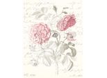 Bild KOMAR "Poème Rose", rot (farbe bild(er): rot, grün), B:30cm H:40cm, Holz, Papier, Bilder, Bild, Wandbild zur Dekoration - ohne Rahmen