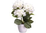 Kunstblume CREATIV GREEN "Hortensienbusch", weiß, H:32cm, Obermaterial: 85% Polyester, 15% Polyethylen, Kunstpflanzen, Kunstblume