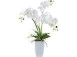 Kunstorchidee CREATIV GREEN "Orchidee Phalaenopsis", weiß, H:67cm, Kunststoff, Kunstpflanzen, Kunstorchidee, mit Farnzweigen