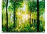 Poster REINDERS "Sommerwald", grün (farbe bild(er): grün), B:80cm H:60cm T:0,1cm, Leinwand, Bilder, Poster