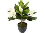 Kunstblume I.GE.A. "Magnolie", weiß, B:26cm H:45cm L:20cm, Obermaterial: 80% Polyester, 20% Kunststoff, Kunstpflanzen, Kunstblume, Im Topf Magnolienbusch künstlich Frühling Seidenblumen Raumdeko