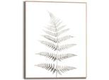 Bild REINDERS "Farn Pflanz - Natur - Botanisch", grün (farbe bild(er): khaki), B:40cm H:50cm, Holzwerkstoff, Bilder, Bild