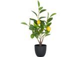 Kunstbaum CREATIV GREEN "Zitrone", grün, H:48cm, Kunststoff, Kunstpflanzen, Kunstbaum, mit detailgetreuer Gestaltung