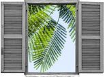 Wandtattoo QUEENCE "Mimoseblätter", grün, B:80cm H:60cm T:0,1cm, Wandtattoos, Wandtattoo, Wandsticker, Wandbild, selbstklebend, 3D, Fenster