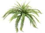 Künstliche Zimmerpflanze BOTANIC-HAUS "Farnbusch", grün, B:85cm H:38cm T:85cm Ø:85cm, Kunststoff, Kunstpflanzen, Künstliche Zimmerpflanze