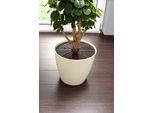 Universalschutzgitter RUCO, braun, B:30cm H:0,5cm T:30cm, Kunststoff, Schutzgitter, Universalschutzgitter, zuschneidbar, Kunststoff
