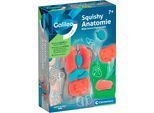 Experimentierkasten CLEMENTONI "Galileo Lab, Squishy Anatomie", weiß, neutral, Experimentierkästen, Kinder, Experimentierkasten