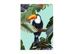 Bild KOMAR "Toco Toucan", bunt (farbe bild(er): bunt), B:30cm H:40cm, Holz, Papier, Bilder, Bild, Wandbild zur Dekoration - ohne Rahmen