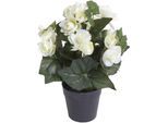 Kunstblume BOTANIC-HAUS "Begonienbusch mit 7 Stielen", beige (creme, weiß), B:18cm H:26cm T:18cm Ø:18cm, Kunststoff, Kunstpflanzen, Kunstblume