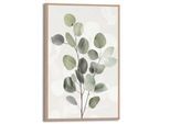 Poster REINDERS "Eucalyptus Zweig", grün (farbe bild(er): grün), B:20cm H:30cm T:1,6cm, Bilder, Poster, Küche - Grün - MDF - Blumen und Pflanzen - 20x30 cm