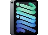 Apple iPad mini 7 8,3 128GB [Wi-Fi] space grau