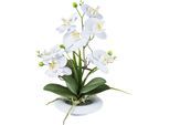Kunstorchidee CREATIV GREEN "Orchidee Phalaenopsis", weiß, H:41cm, Kunststoff, Kunstpflanzen, Kunstorchidee, in außergewöhnlicher Keramikschale