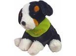 Kuscheltier HEUNEC "Berner Sennenhund, 38 cm", bunt (schwarz, braun, weiß), Plüschfiguren, KinderH:38cm, Plüsch, Kuscheltier, mit grünem Halstuch und individueller Bestickung, H:38cm