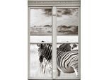 Wandsticker QUEENCE "Zebras", grau, B:40cm H:60cm T:0,1cm, Wandtattoos, Wandsticker, Wandsticker, Wandbild, selbstklebend, 3D, Fenster
