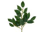 Kunstzweig CREATIV GREEN "Ficuszweig", grün, H:66cm, Kunststoff, Kunstpflanzen, Kunstzweig, mit naturgetreuem Blattwerk