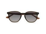 Ted Baker Zonnebril TB1655 949 52