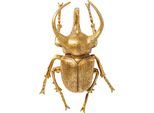 Wanddekoobjekt KARE DESIGN "Atlas Beetle Gold", gold, B:26cm H:35,5cm T:15cm, Polyresin, Wanddekoobjekte, Wanddekoobjekt, aus Polyresin