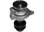 MAGNETI MARELLI Wasserpumpe 350982018000 für Ford
