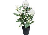 Möbelix , Grün, Weiß , Keramik , 58 cm , inkl. Topf , Dekoration, Blumen & Blumentöpfe, Kunstblumen