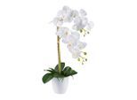 Möbelix , Grün, Weiß , Kunststoff , 56 cm , Real-Touch-Oberfläche , Dekoration, Blumen & Blumentöpfe, Kunstblumen