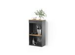 WEINREGAL Regusa Goldkraft Eiche/Anthrazit 60 x 106 cm