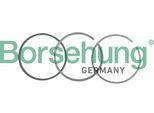 BORSEHUNG Kolbenringsatz b19049 für VAG