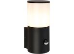 Außen-Wandleuchte TELEFUNKEN "LED Wandlampe", schwarz-weiß (schwarz, weiß), Leuchten, Außenwandleuchte