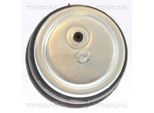 TRISCAN Lagerung, Motor 850511113 für BMW
