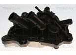 TRISCAN Thermostat, Kühlmittel 862060480 für VW