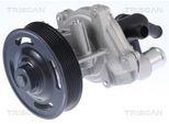 TRISCAN Wasserpumpe 860016071 für Ford