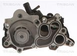 TRISCAN Wasserpumpe 860029087 für CUPRA VW