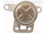 TRISCAN Lagerung, Motor 850510108 für Ford Volvo