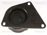 TRISCAN Lagerung, Motor 850529151 für VW
