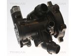 TRISCAN Thermostat, Kühlmittel 862055900 für CUPRA VW