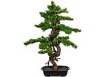 Kunstbonsai CREATIV GREEN "Bonsai", grün, B:55cm H:85cm, Kunststoff, Kunstpflanzen, Kunstbonsai