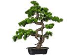 Kunstbonsai CREATIV GREEN "Bonsai Kiefer", grün, H:65cm Ø:50cm, Kunststoff, Kunstpflanzen, Kunstbonsai