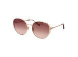 Ted Baker Sunglasses TB1775 401 58