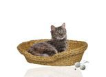 Rohrschneider ® Komfortables Katzenkörbchen mit Kissen
