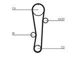 CONTINENTAL CTAM Wasserpumpe + Zahnriemensatz ct942wp1 für HYUNDAI KIA