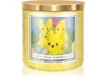 Kringle Candle Lemon Sugar Marshmallow geurkaars 467 g