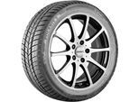 BARUM Winterreifen 155/80 R13 79T EVc - Polaris 5 15411950000