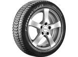 DEBICA Winterreifen 225/50 R17 98V XL - Frigo HP2 539158