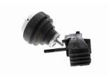 VAICO Lagerung, Motor v104422 rechts für VAG