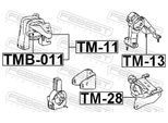 FEBEST Lagerung, Motor tm11 vorne rechts für TOYOTA