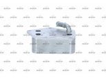 NRF Ölkühler, Motoröl 31331 für VW