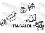 FEBEST Lagerung, Motor tmcaldl vorne links für TOYOTA