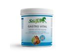 Stiefel Gastro Vital 1 kg