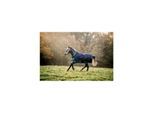 Horseware Regendecke Bravo 12 Turnout 50 g 1,3 m
